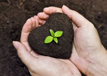 الأسمدة الحيوية