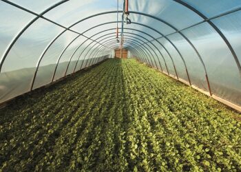 البيوت المحمية