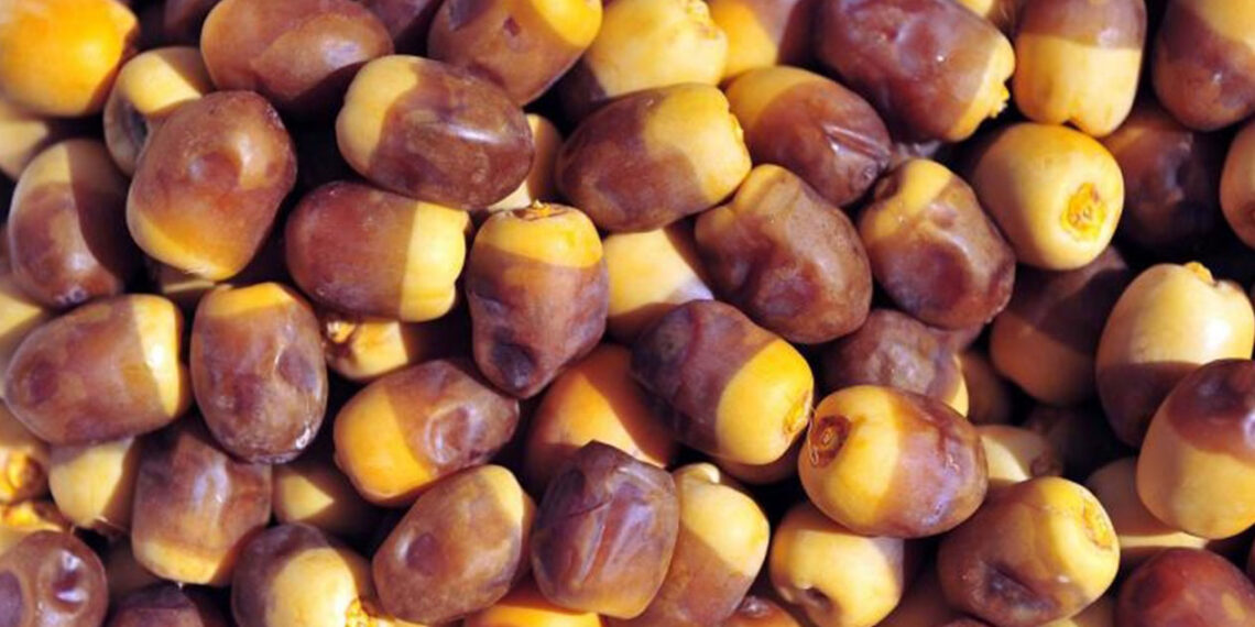 التمر السيوي