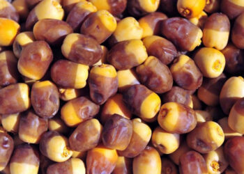 التمر السيوي