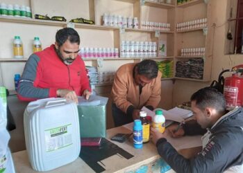 محلات المبيدات المخالفة.. زراعة بورسعيد تضبط محلين وتتابع زراعات القمح