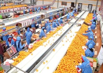 الصادرات الزراعية