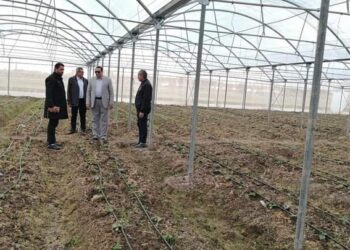 “عبدالسميع” يتابع مستجدات قطاع الزراعة بدمياط