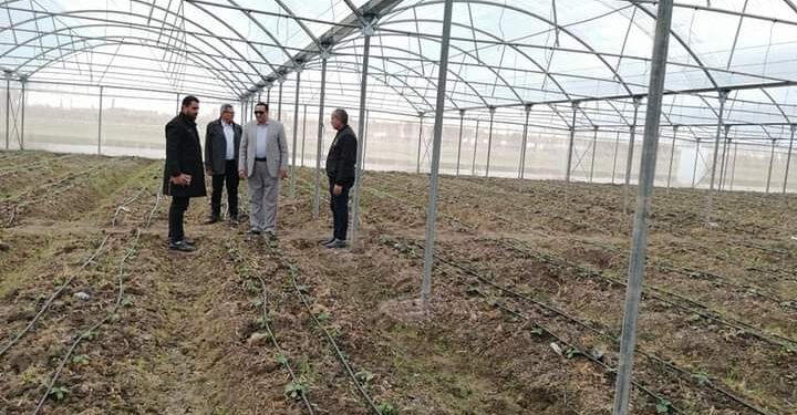 “عبدالسميع” يتابع مستجدات قطاع الزراعة بدمياط