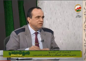 الطب البيطري