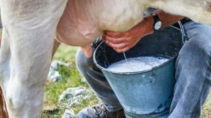الثروة الحيوانية ودرجة الإنتاجية وعلاقتها بالألفة والعاطفة 1 الثروة الحيوانية