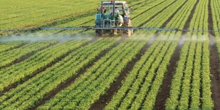 المعاملات التسميدية المثالية لموسم قمح ناجح وعلاقتها بـ"طرد السنابل" 1 المعاملات التسميدية