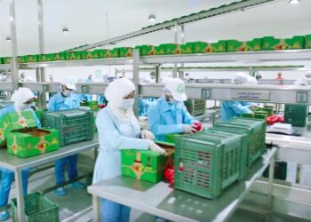 الحجر الزراعي