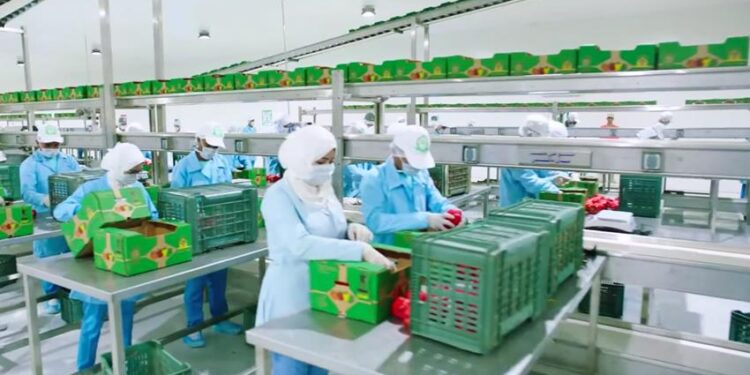 الحجر الزراعي