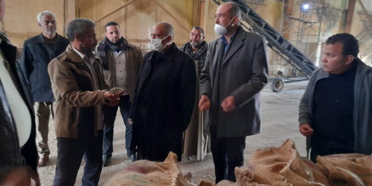 الزراعة تستعد مبكرا لتجهيز تقاوي القطن والأرز والفول الصويا قبل موسم الزراعة 1 تجهيز تقاوي القطن