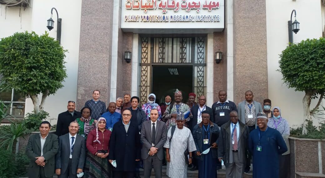 دور معهد بحوث وقاية النباتات في مكافحة أمراض وآفات المحاصيل الزراعية 1 جانب من زيارة الوفد النيجيري لمعهد بحوث وقاية النباتات