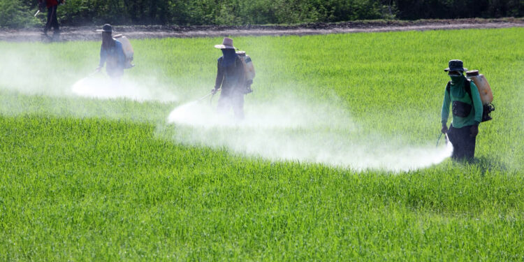 المبيدات .."عبدالمجيد" يحذر من المركبات المغشوشة ويتحدث عن كتابه الجديد 1 المبيدات