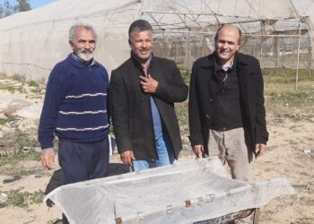 محطة بحوث البستان