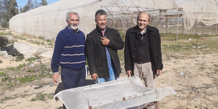 «الجزار» يتابع برنامج إنتاج أباء الطماطم بـ محطة بحوث البستان 1 محطة بحوث البستان