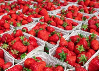 فراغات شحن جوي