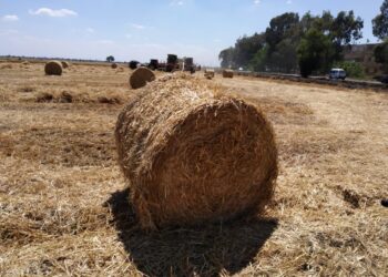 فوائد تدوير المخلفات الزراعية