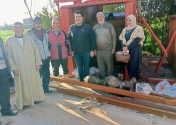 مشاتل الخضر