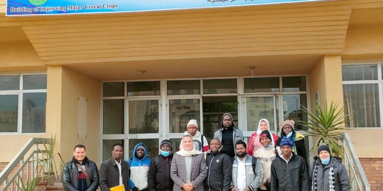 لليوم الثاني.. الوفد الأفريقي يتابع زيارة محطة بحوث سخا 1 محطة بحوث سخا