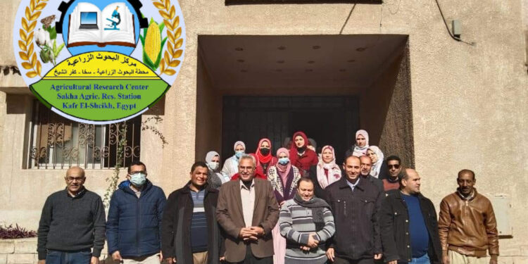 برنامج التغذية العلاجية يختتم أعماله بمحطة بحوث سخا 1 برنامج التغذية العلاجية