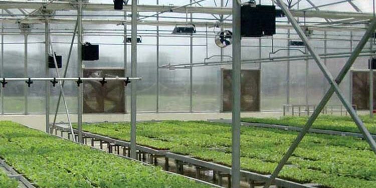 الصوبة الزراعية