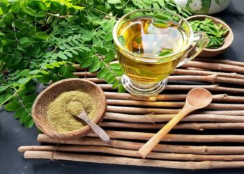 نبات المورينجا