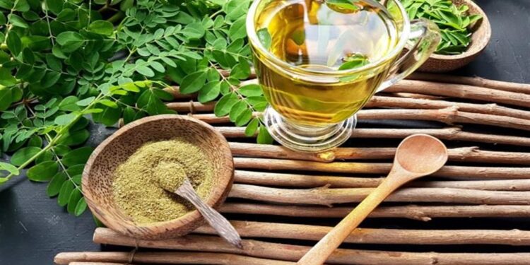 نبات المورينجا.. بديل آمن وطبيعي لعلاج مرضى السكري 1 نبات المورينجا