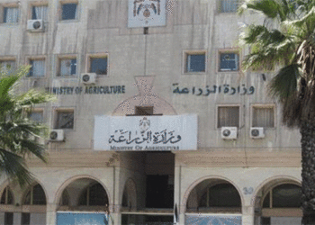 تطبيق المفيد