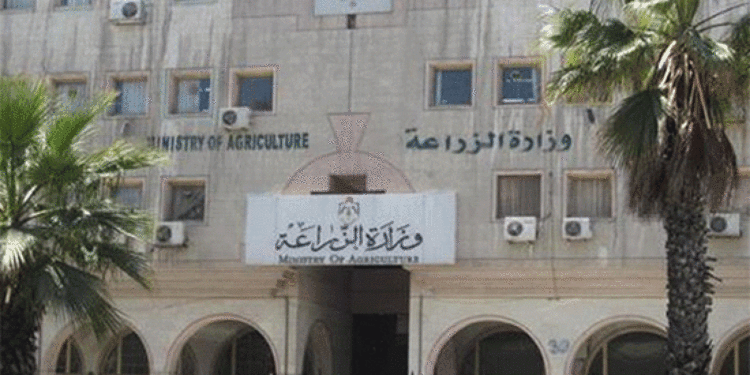 تطبيق المفيد.. خدمات توعوية ونصائح إرشادية مجانية 1 تطبيق المفيد