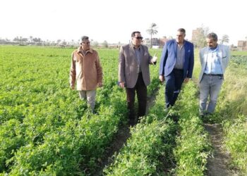 الزراعات الشتوية