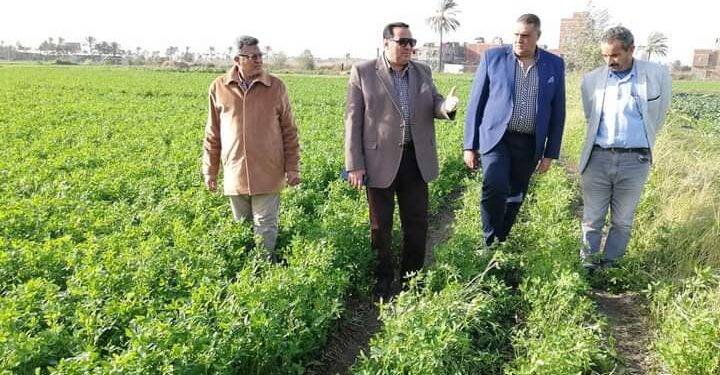 "عبدالسميع" يتفقد الزراعات الشتوية بدمياط ويستقبل عدد من المزارعين 1 الزراعات الشتوية
