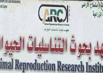 تنمية الثروة الحيوانية