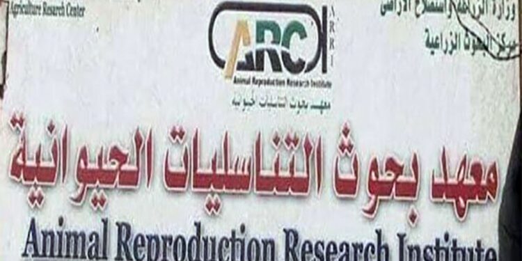 تنمية الثروة الحيوانية