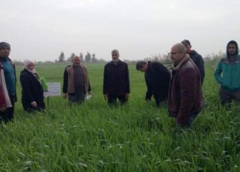 الإرشاد الزراعي