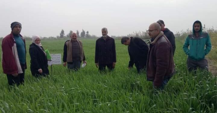 الإرشاد الزراعي