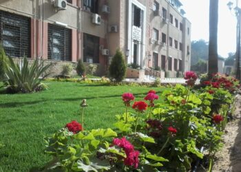 معهد الأراضي والمياه