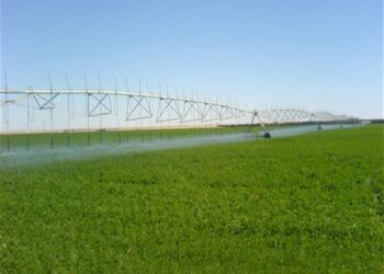 الريف المصري الجديد