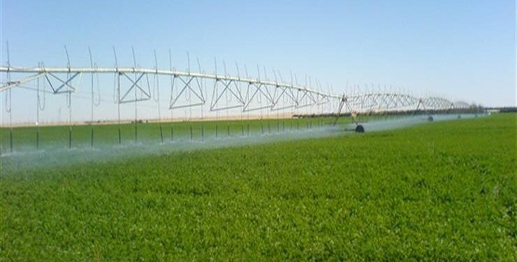 الريف المصري الجديد: ١٦٦٧ شركة انتفعت من تطبيق حزمة التيسيرات المالية المتكاملة 1 الريف المصري الجديد