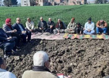 مدرسة حقلية