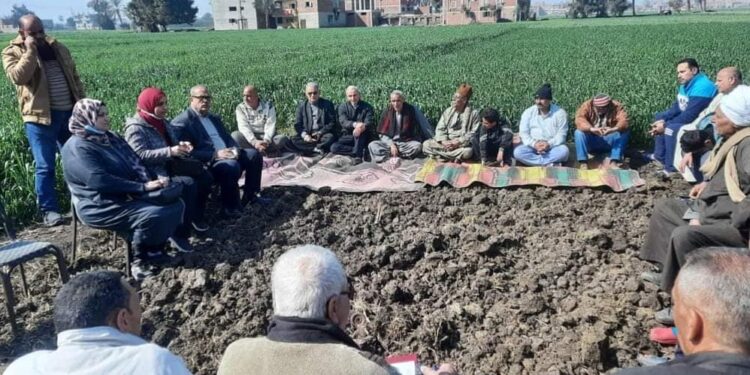 "مدرسة حقلية" لمحصول القمح بزراعة الشرقية 1 مدرسة حقلية
