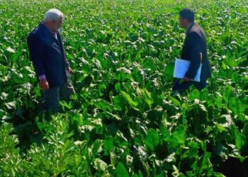 مكافحة الآفات