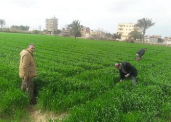 ندوة إرشادية