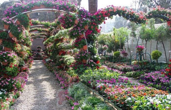 معرض زهور الربيع