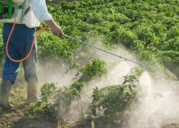 المعمل المركزي للمبيدات