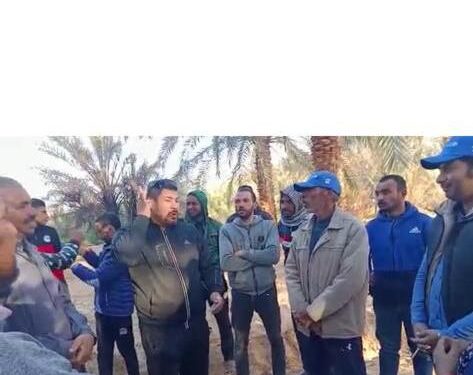 مركز بحوث الصحراء ينفذ 75 مدرسة حقلية بمشاركة ذوي الهمم بالخارجة 1 مركز بحوث الصحراء