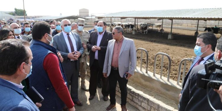 الزراعة: تسليم 200 رأس ماشية على صغار المربيين من السلالات عالية الإنتاجية 1 الزراعة