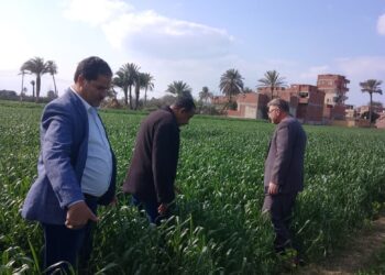 مكافحة الآفات