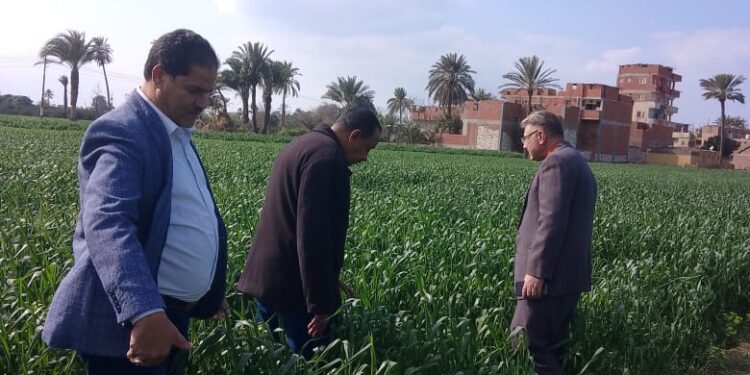 مكافحة الآفات