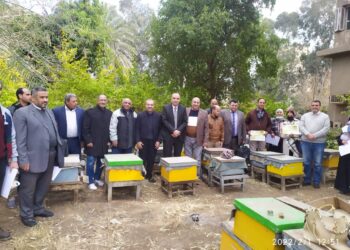 تربية نحل العسل