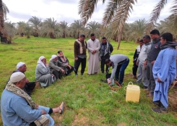 المدارس الحقلية