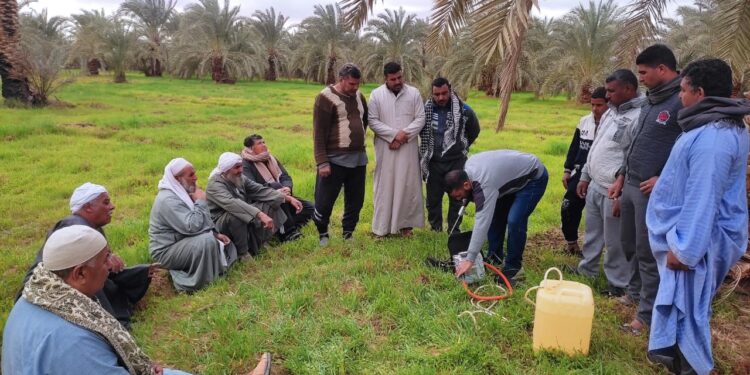 الزراعة تصدر إنفوجراف حول أنشطة المدارس الحقلية في يناير ٢٠٢٢ 1 المدارس الحقلية